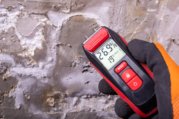 Best Professional Mold Removal  in Newton, IL